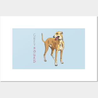 Dog breed Greyhound Posters and Art